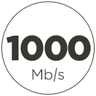 1000 Mb/s Internet